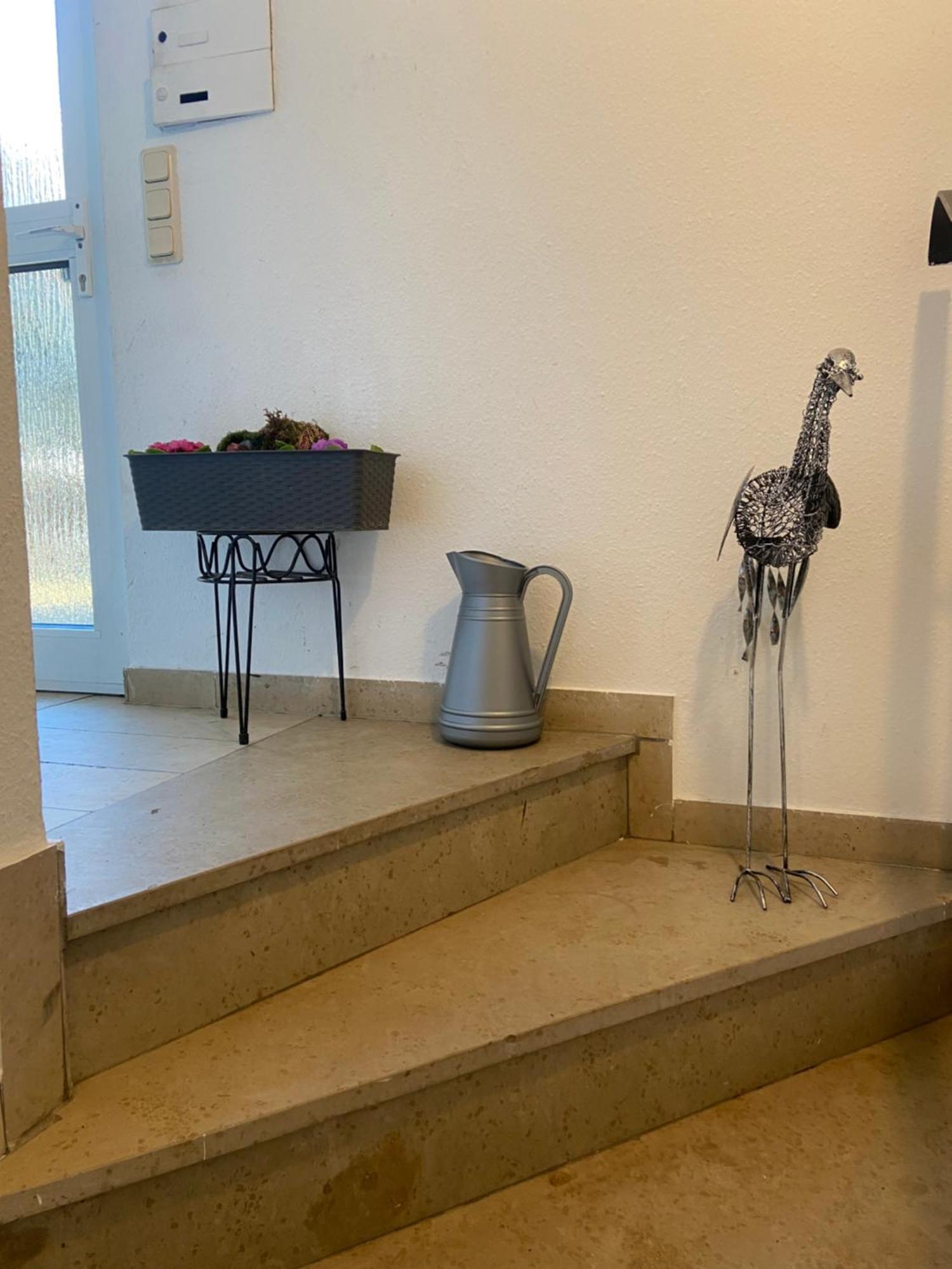 In Saarbruecken Stadtnahe Gemuetliche Wohnung Am Deutsch-Franzoesischen Garten Kültér fotó