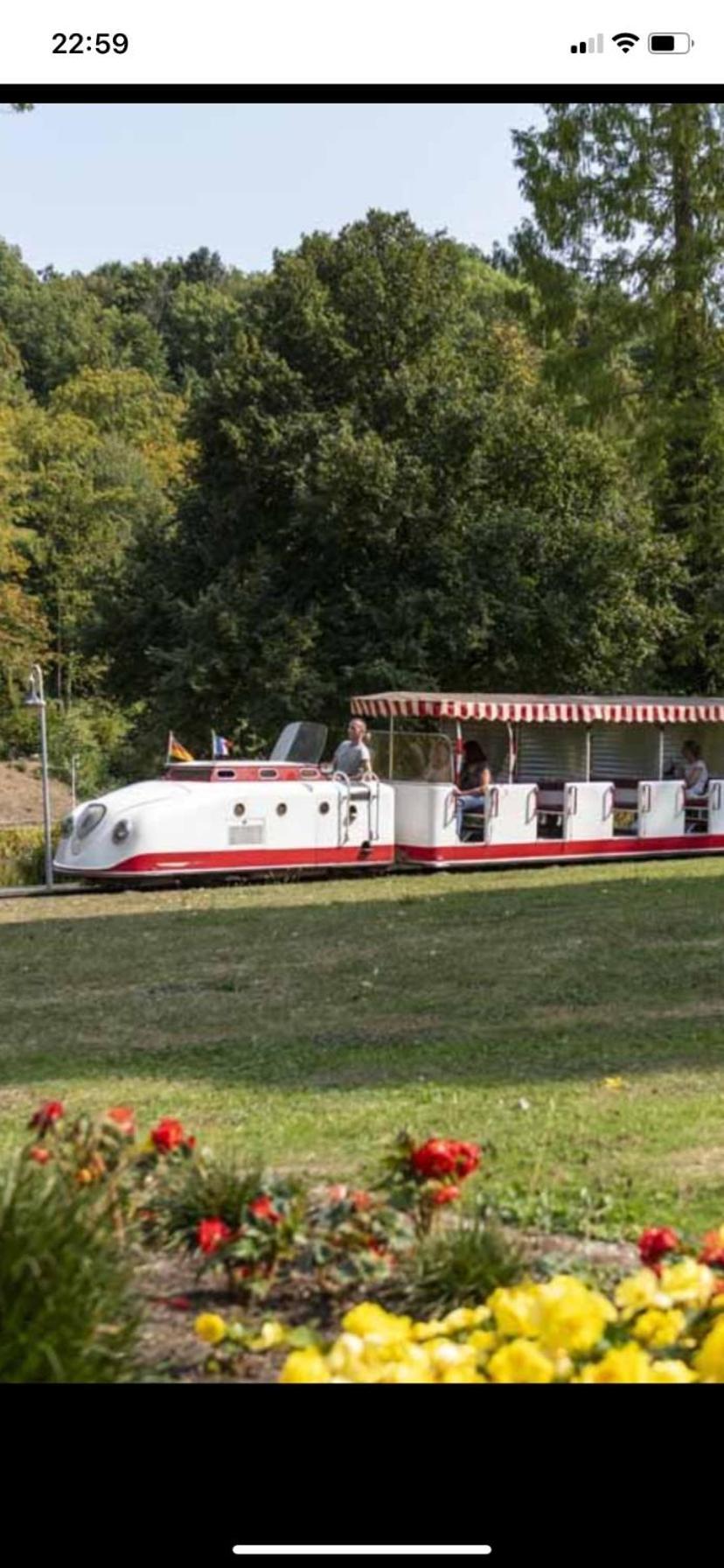 In Saarbruecken Stadtnahe Gemuetliche Wohnung Am Deutsch-Franzoesischen Garten Kültér fotó