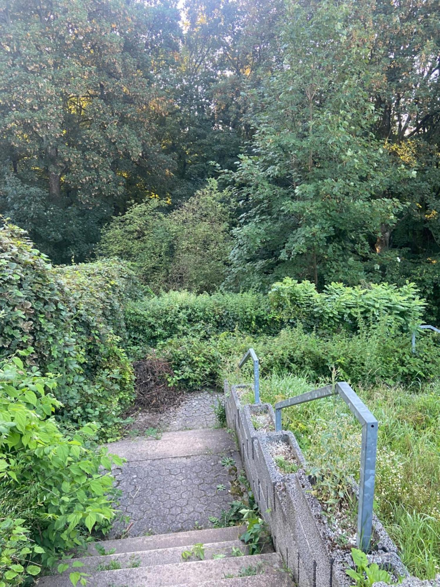 In Saarbruecken Stadtnahe Gemuetliche Wohnung Am Deutsch-Franzoesischen Garten Kültér fotó