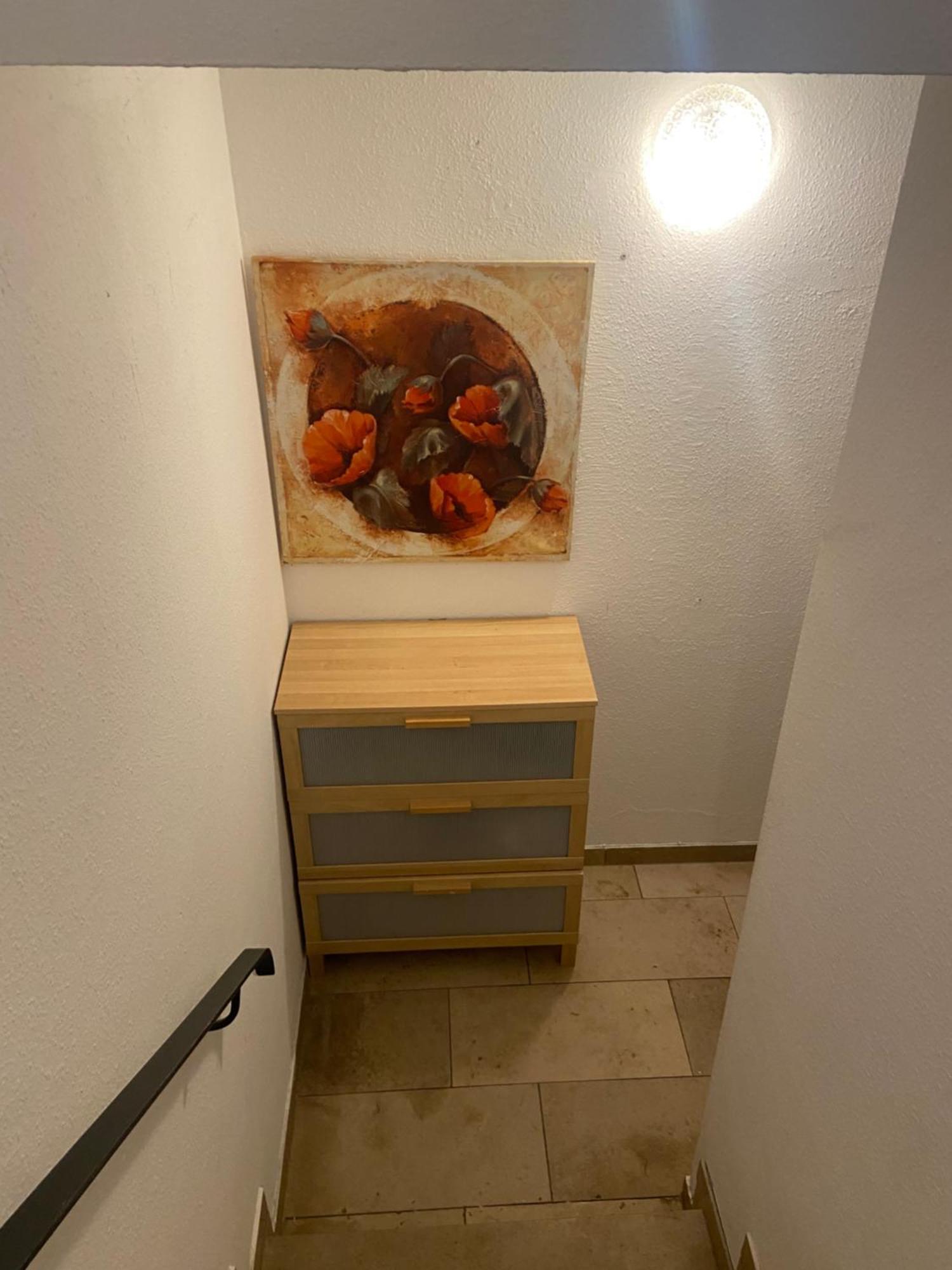 In Saarbruecken Stadtnahe Gemuetliche Wohnung Am Deutsch-Franzoesischen Garten Kültér fotó